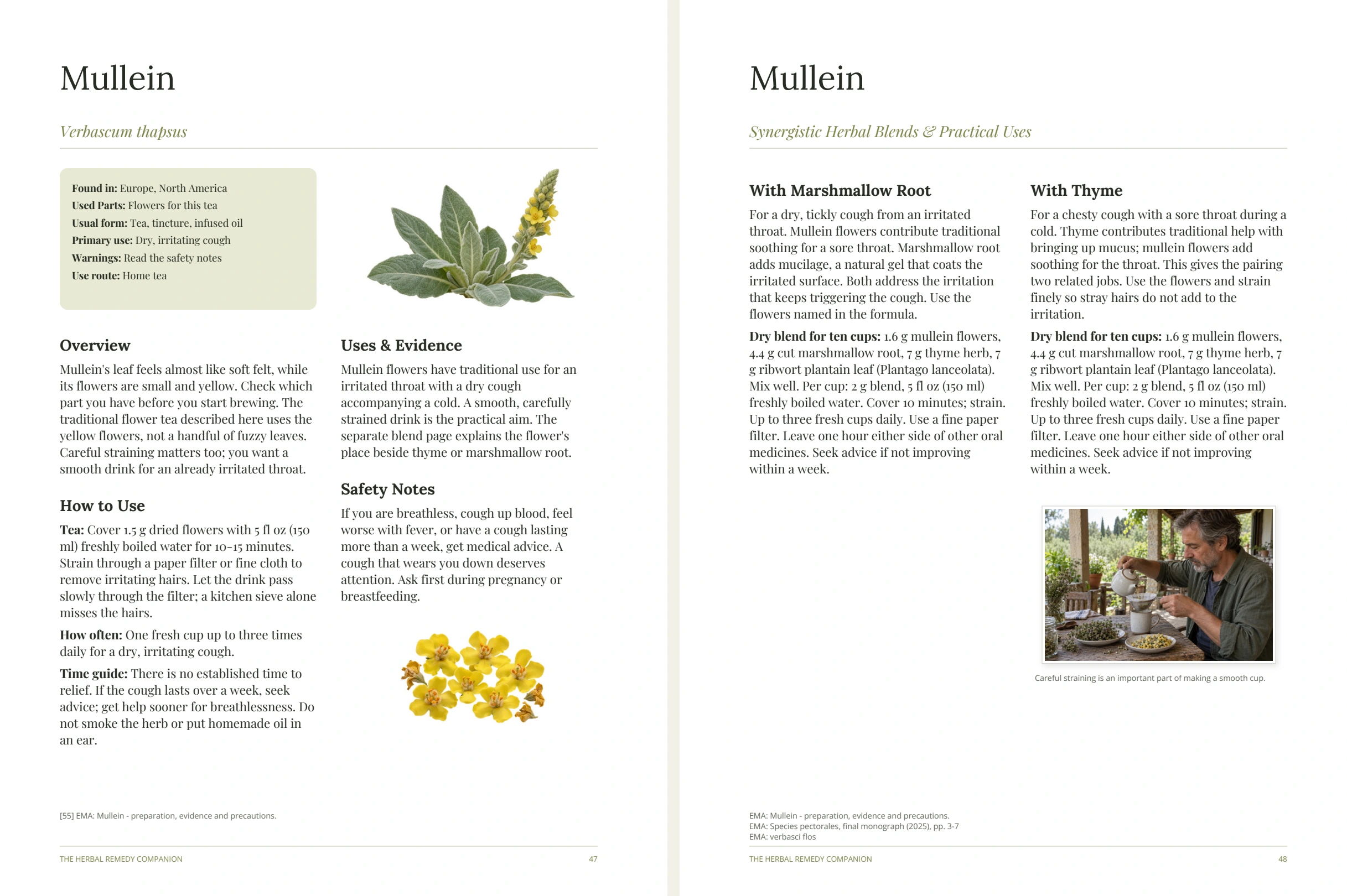 Current Mullein profile and combination pages, pages 47–48